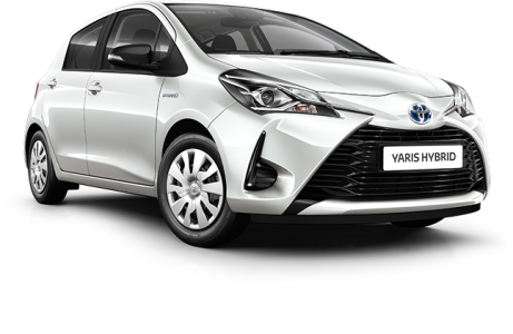 Loteria "Hybryda za hybrydę"