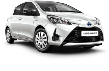 Loteria "Hybryda za hybrydę"