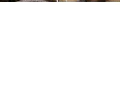 Konkurs fotograficzny 2 #prezentyLOCCITAN