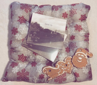 Mikołajkowy konkurs z davidfly.pl