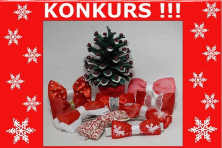 Konkurs Mikołajkowy z JBart for women