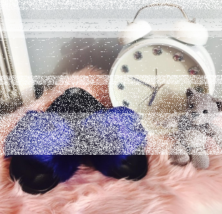 Lębork: Wygraj klapki