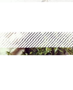 Wygraj zimowy wianek od Projekt Flores