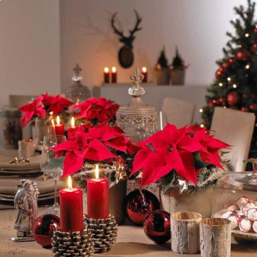 Zimowy konkurs z Finezja, do godz. 20:00