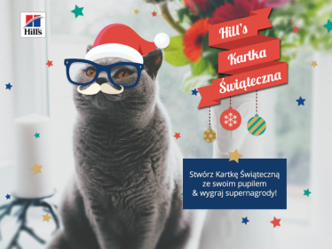 Konkurs "Hill’s Kartka Świąteczna"