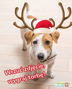 Konkurs fotograficzno-mikołajkowy