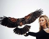 Konkurs #freedombymartyna