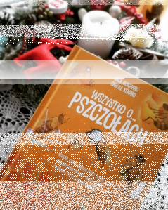 Konkurs z Sudeckie Gospodarstwo Pszczelarskie