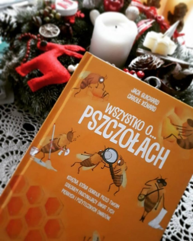 Konkurs z Sudeckie Gospodarstwo Pszczelarskie