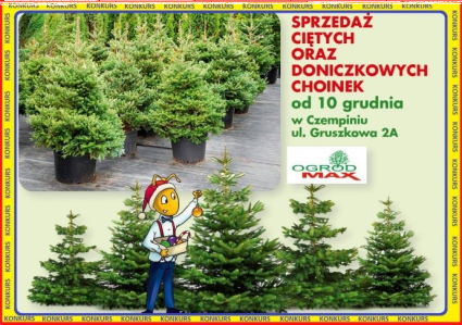 Czempiń: Konkurs z Mrówką