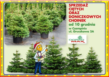 Czempiń: Konkurs z Mrówką