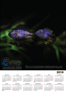 Szykbi konkurs fotograficzny z Lubuska Grupa Akwarystów