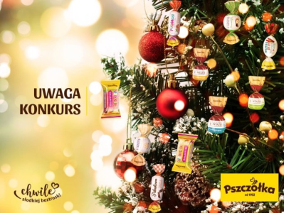 Konkurs fotograficzny "Pszczółka na choince"