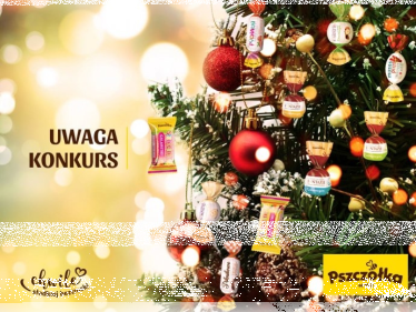 Konkurs fotograficzny "Pszczółka na choince"