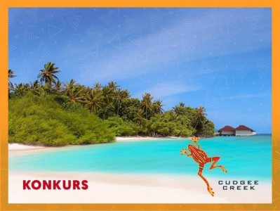 Konkurs "Żaba potrzebuje słońca. Pokaż swoje zwariowane zdjęcie z wakacji" 18+