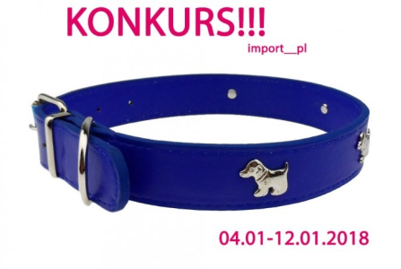 Wygraj obrożę dla psa