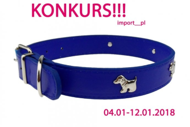 Wygraj obrożę dla psa