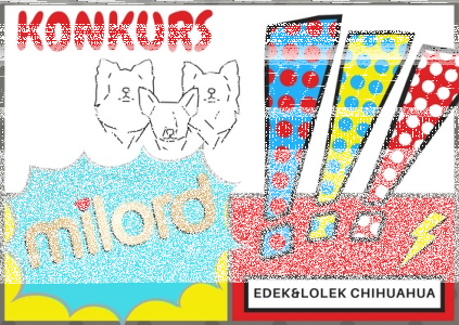 Konkurs fotograficzny "Milord"