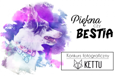 Konkurs "Piękna czy bestia"