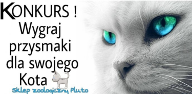 Wygraj przysmaki dla swojego kota