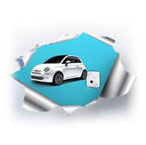 Konkurs fotograficzny "Wszechkoty"