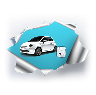 Konkurs fotograficzny "Wszechkoty"