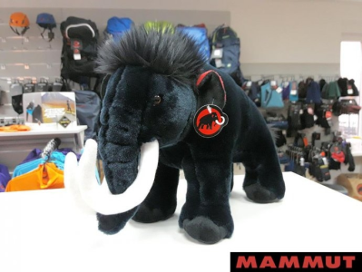 Konkurs z Mammut Polska, do godz. 12:00