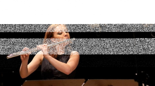 Wrocław: Wygraj zaproszenia na recital fletowo-fortepianowy w Muzeum Pana Tadeusza, do godz. 13:00