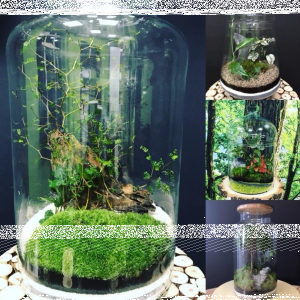 Wygraj słoj o wartości 250zł od Czas na las