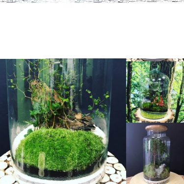 Wygraj słoj o wartości 250zł od Czas na las