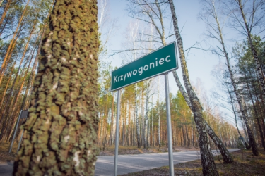 Konkurs na tom poetycki "O złotą pszczołę"