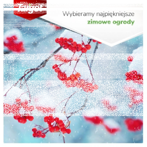 Konkurs fotograficzny "Zdjęcie miesiąca"