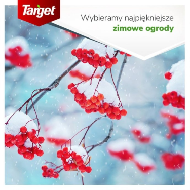 Konkurs fotograficzny "Zdjęcie miesiąca"