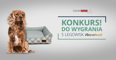 Konkurs fotograficzny: Wygraj legowisko dla pupila!