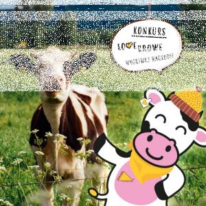 Konkurs fotograficzny "FOTO - LOVE KROWE Z #OVERAgro"