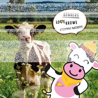 Konkurs fotograficzny "FOTO - LOVE KROWE Z #OVERAgro"
