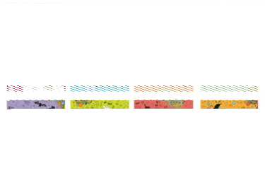 Zimowy konkurs Zuzy-Łobuzy