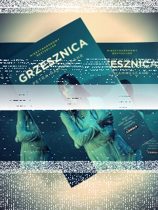 Wygraj książkę "Grzesznica"