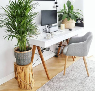 Wygraj pieniek od Say - oo