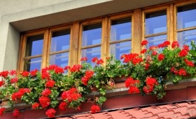 Kęty: III edycja konkursu na ukwiecenie!