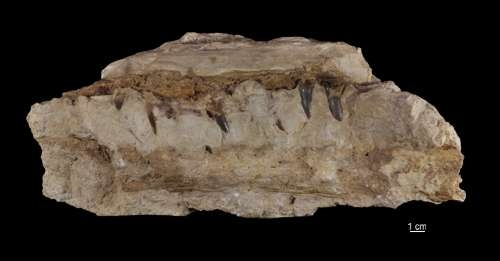 Konkurs "Zagadka marcowa"