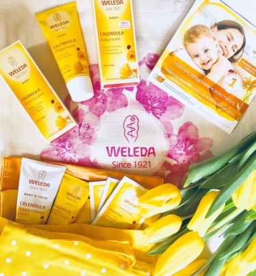 Konkurs "Napisz o nagietku lekarskim"