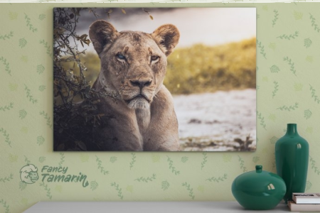 Wygraj ekologiczny obraz z lwicą