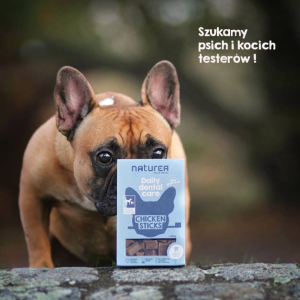 Konkurs fotograficzny "Szukamy psich i kocich testerów"