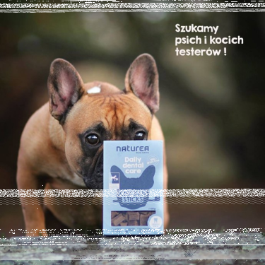 Konkurs fotograficzny "Szukamy psich i kocich testerów"