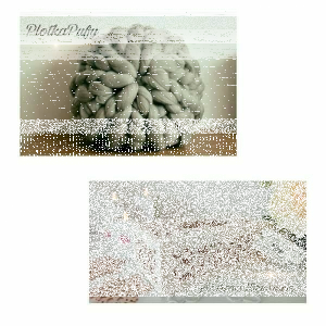 Konkurs na Dzień Kobiet!