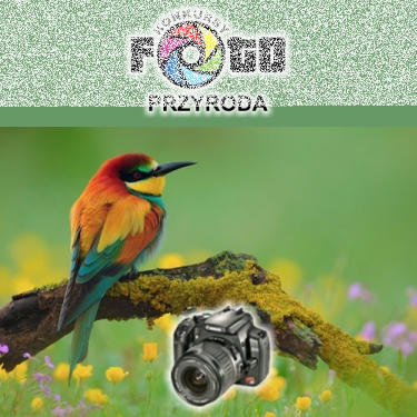 Konkurs "Przyroda"