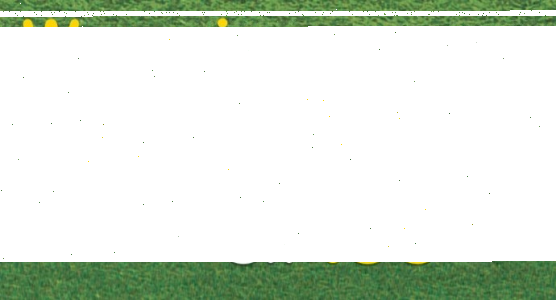 Loteria "Rodzinna Odnowa" Groszek