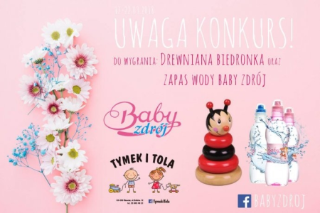 Konkurs "Drewniana Biedronka"