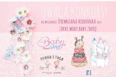 Konkurs "Drewniana Biedronka"